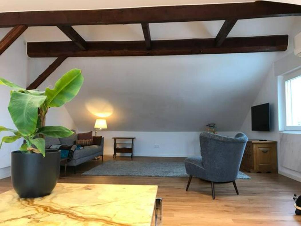 Luxury Top Floor Appartment Cassel Extérieur photo
